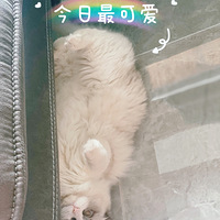 ��˫��ż��������Ʊ