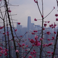 ��ͼ������÷�����������г�Ҳ��Զ��