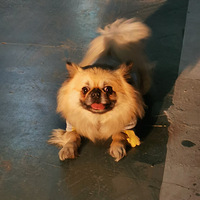 Ϊʲô���������������ô���ᣬ�һ�����һ���ӵ�