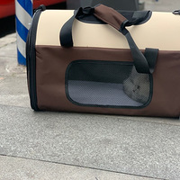 ����������6�꣬����ƾŬ����ӵ�����Լ���è��