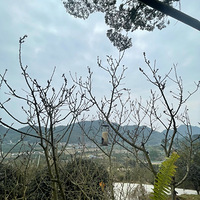 СԺ