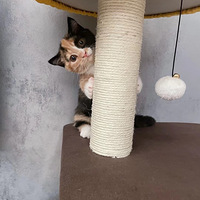 ������èС����