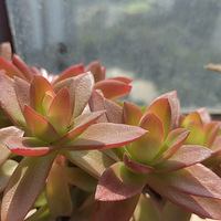 ����ů�������︴�ա�