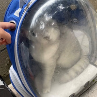 ������·��