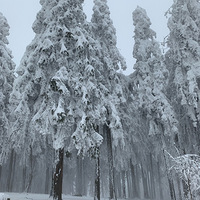 ������Ůɽ���һ����ѩ������Բ����