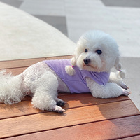 ��С�����ڿ��Գ�����