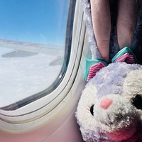 ȥ������ˮɹ�˸�̫��