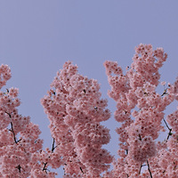 ��������ͻ���