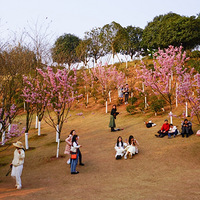 �������������ͻ�ʱ��