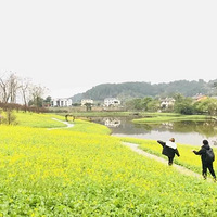 ��������ͻ����޵ĺ�ȥ�����Լ�1.5hֱ�һ����ĩ����ʣ�