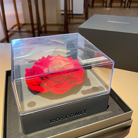 ����һЩС�������������ճ�������Ҹ���