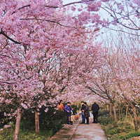 ӣ������һ·�򱱣��������պ�ʱ��