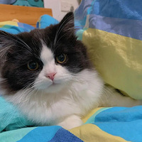 ��ë��ţ��׼��������������