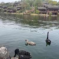 ԰��԰����춼������֮����