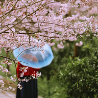 ���ճν���һ�����ӣʢ����