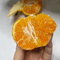 һ궼Բˮһ5̣ó