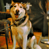 ���ҼҴ�ɵ���Ҹ�����