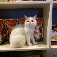 ������һ��װ�޷����ĵ� һ���Ż����Ѫȫ�Ǹɻ�