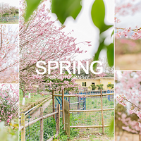 ������ô���ã���ô�ܲ����ռ�¼�أ������������У�