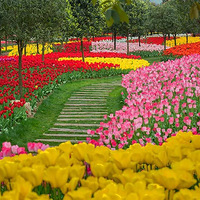 ���������紺̤����ѡ��100���������㿪�����ع�԰������ֱ�