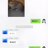 ��С���ռǡ�������è