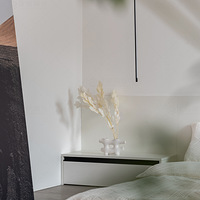 ��û�з�������ֻ�ǰ��Լ����������Բ������ʵ�