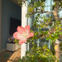 ���ǵ�������������������������ۣ�����ƫƫϲ���ž�