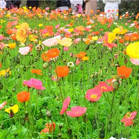 �·��֣�������������˻�������ɽ�£�����̫������