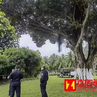 41ӹ԰ˣ36飬д˳һı