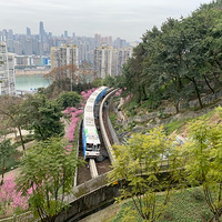 ����������ͽ�����Ӱӷ�ͼ�����߲��������ؾ��������ʹ�����г�