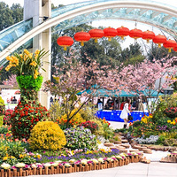 ��ɽֲ��԰�ĵ�һ��ӣ�����ˣ����н�10����������Ͽ�ȥ�򿨣�