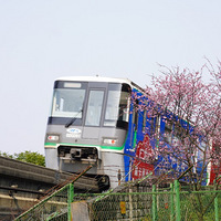 ��2022���μǡ�����÷����������ͼ�ؿ���������г�