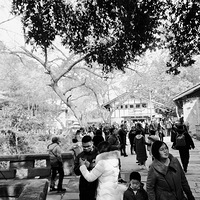 �������·������ϸ������ĵĽ�ձ�ͼƬ