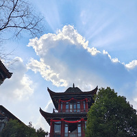 ���������ĸ���������