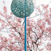 �����һ��ӣ������ʢ�ţ������Ƭӣ��ŭ���ɺ���