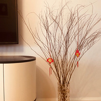 è���´���ѩ����֦�����ڵȵ���ѿ�ˡ�