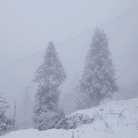 ����ɽ����ѩ��