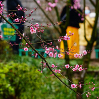 ��ɽ���߲���һ��һ��ʵ��̫��