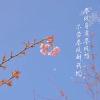 �������д����ʹ�����ҳ�