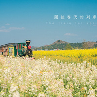 ������ʲô����ģ�������ʳ�Ƽ����������ι��ԡ������ܱ��Ρ�