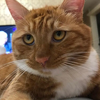 �Ҽ�����һ���ͺ�ɵ