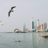 ���ൺӡ�����쳤����ң���ȥ�����Σ������ţ����������