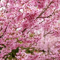 2022����ӣ��ŭ����