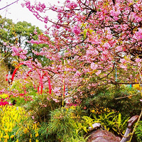 �����۵����ξ�ͷ��ӣ��������Ҳ���������������