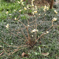 ��˵����а�����