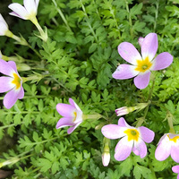 �紺�Ļ���