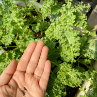 ���ֵĶ�����̨С��԰