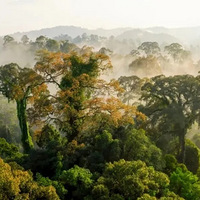 �Ƽ�һ��9.8�ֵļ�¼Ƭ����ɫ����