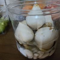 pdd�����³������㣬���ȿ���