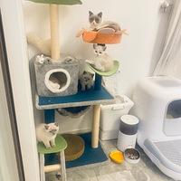 �ص�ɫӢ�̣��Բ��ˣ�